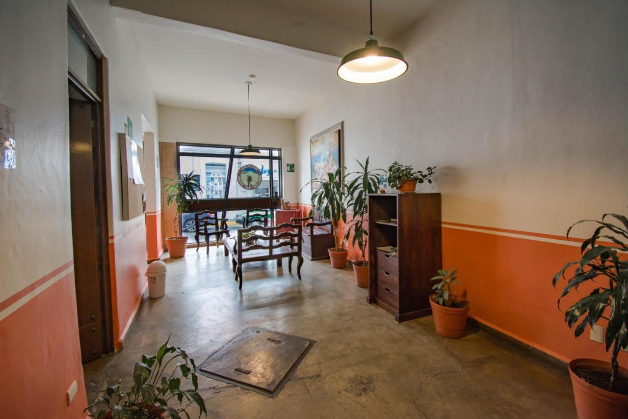 Hostal De La Niebla Xalapa Exterior foto
